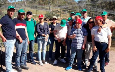 Excursión de la Residencia Gravemente Afectados ‘El Cristo Roto’ al Castillo de las Guardas, uno de los parques de animales más espectaculares de Europa